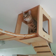 Illustration for article titled This wall furniture is the coolest thing your cat will see all day